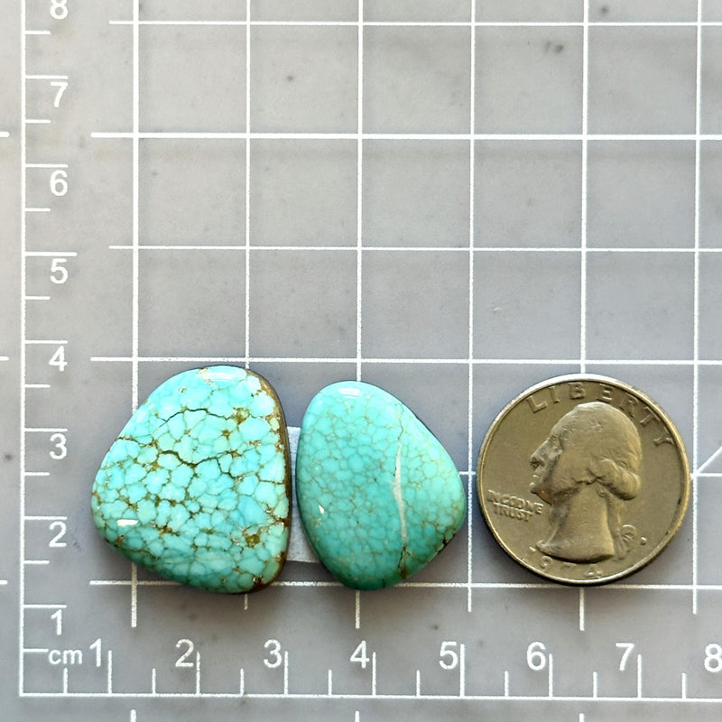 Large Sky Blue Freeform Number 8 Turquoise, Set of 2 Dimensions