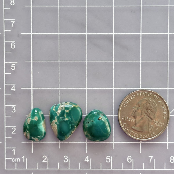 Small Ocean Blue Freeform Fox Turquoise, Set of 3 Dimensions