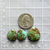 Large Sea Green Freeform Number 8 Turquoise, Set of 3 Dimensions
