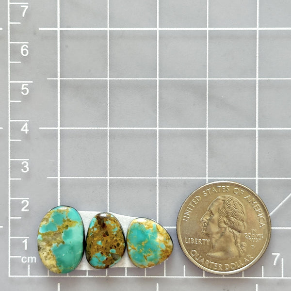Medium Sea Green Freeform Royston Turquoise, Set of 3 Dimensions