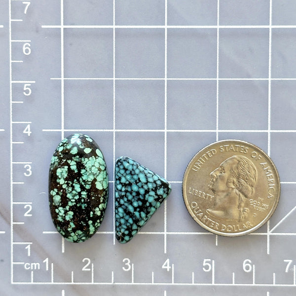 Large Mixed Mixed Mixed Turquoise, Set of 2 Dimensions