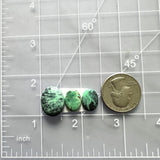 Medium Deep Green Mixed Crescent Lake Variscite, Set of 3 Dimensions