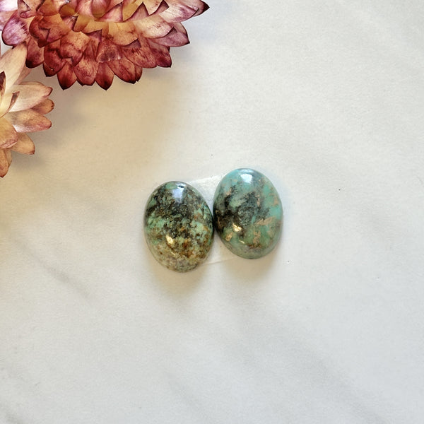 Small Sea Green Oval Crescent Lake Variscite, Set of 2 Background