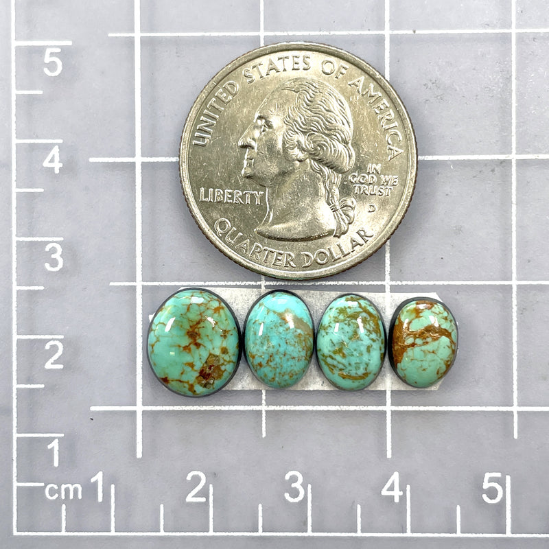 Small Sea Green Freeform Tyrone Turquoise, Set of 4 Dimensions