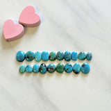 Small Mixed Mixed Fox Turquoise, Set of 19 Background
