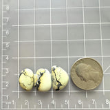 Small Light Yellow Freeform Crescent Lake Variscite, Set of 3 Dimensions