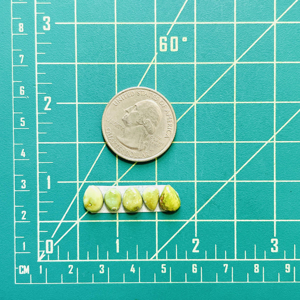 Small Lime Green Teardrop Sonoran Lime Turquoise, Set of 5 Dimensions