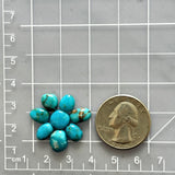 Small Sky Blue Mixed Fox Turquoise, Set of 8 Dimensions