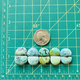 Small Mixed Half Moon Mixed Turquoise, Set of 10 Dimensions