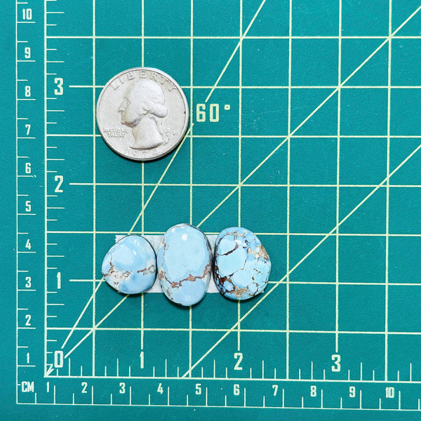 Medium Sky Blue Freeform Golden Hills Turquoise, Set of 3 Dimensions