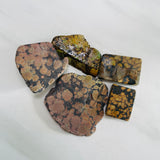 Earth Brown Rough Natural Giraffe Turquoise Slabs Dimensions