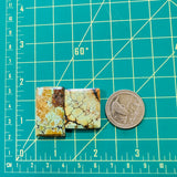 Large Royal Orange Bar Treasure Mountain Turquoise, Set of 2 Dimensions