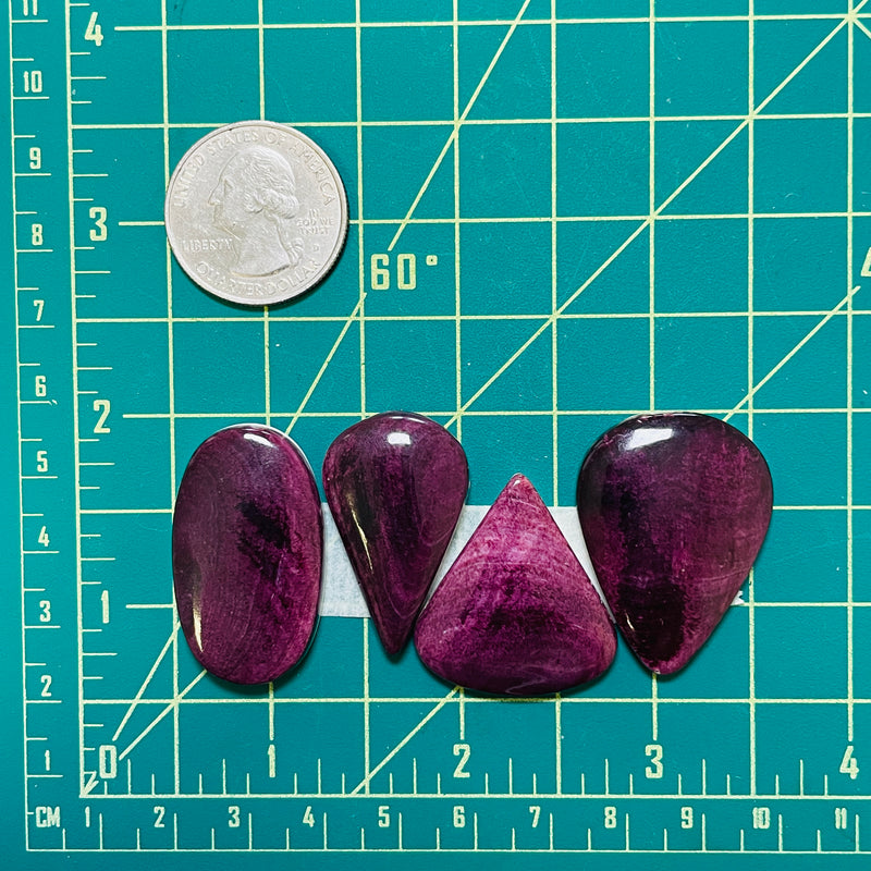 Large Purple Mixed Spiny Oyster, Set of 4 Dimensions