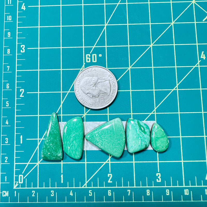 Medium Mint Green Mixed Lucid Variscite, Set of 5 Dimensions