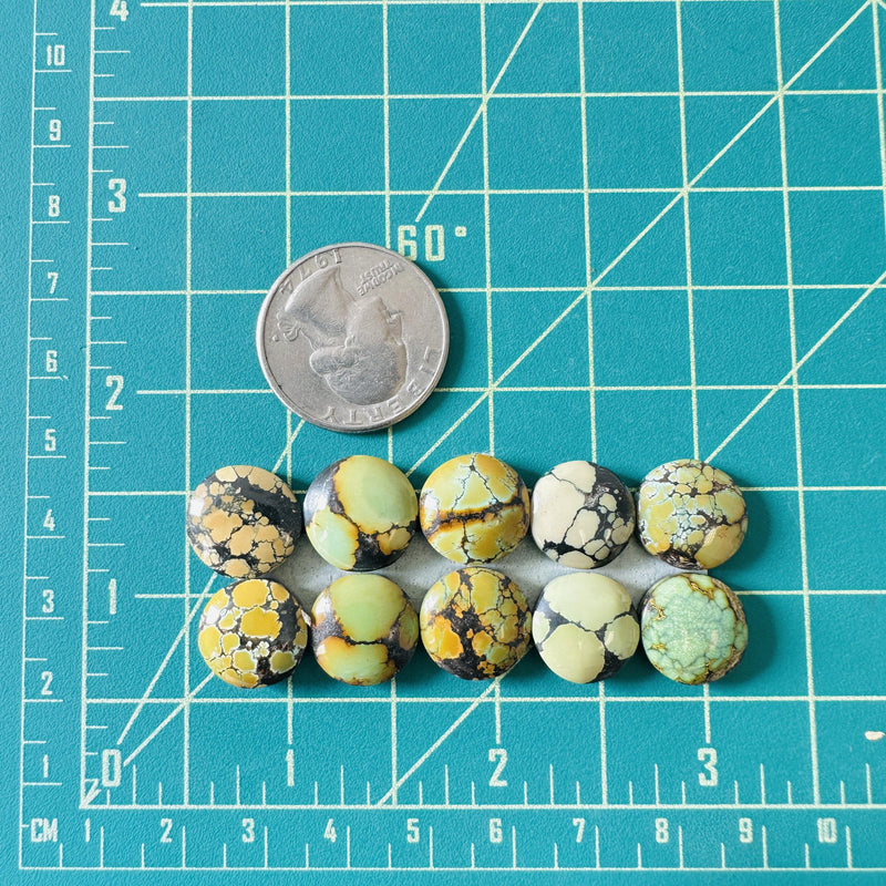 Small Mixed Round Mixed Turquoise, Set of 10 Dimensions