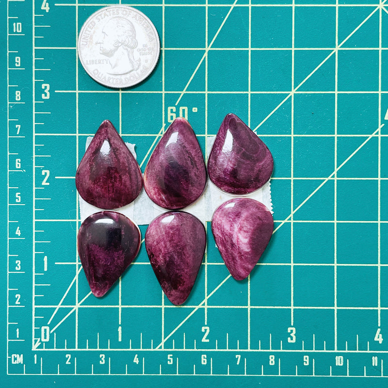 Large Purple Teardrop Spiny Oyster, Set of 6 Dimensions