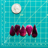 Medium Purple Teardrop Spiny Oyster, Set of 5 Dimensions