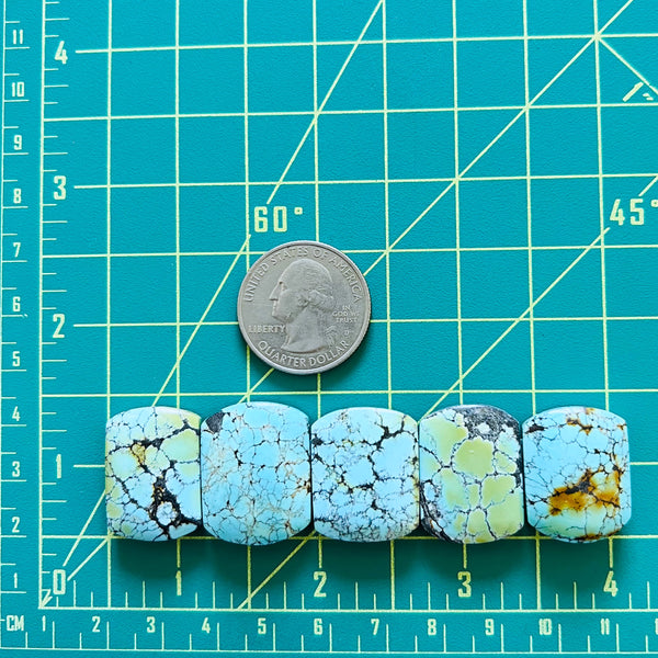 Large Sky Blue Barrel Wild Horse Turquoise, Set of 5 Dimensions
