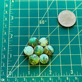 Small Mint Green Round Broken Arrow Variscite, Set of 7 Dimensions
