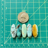 Large Mixed Surfboard Mixed Turquoise, Set of 5 Dimensions