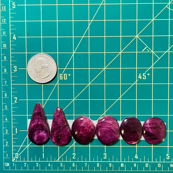 Large Purple Mixed Spiny Oyster, Set of 6 Dimensions