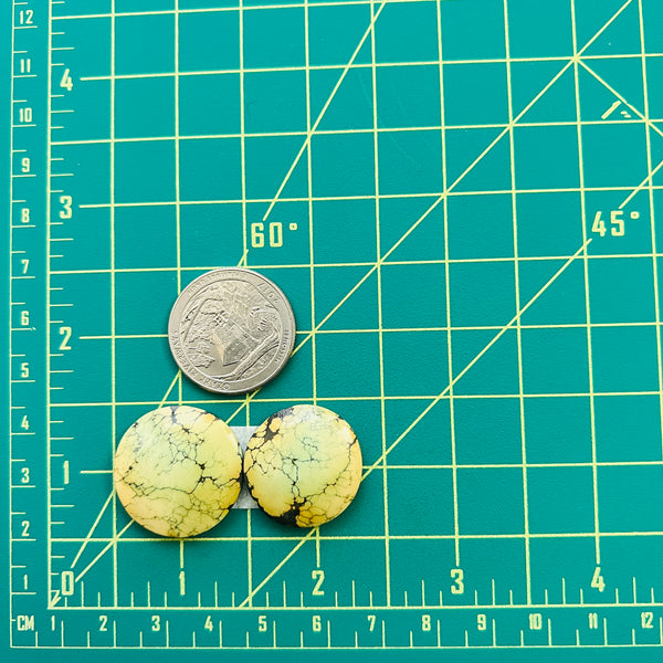 Large Light Yellow Round Wild Horse Turquoise, Set of 2 Dimensions