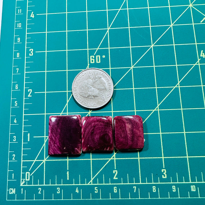 Medium Purple Bar Spiny Oyster, Set of 3 Dimensions