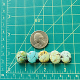 Small Mixed Round Mixed Turquoise, Set of 5 Dimensions