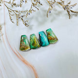 Medium Lime Green Petal Green Serpentine Serpentine, Set of 4 Background
