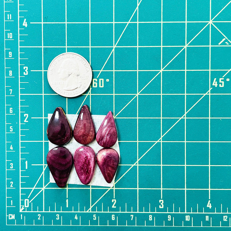 Small Purple Teardrop Spiny Oyster, Set of 6 Dimensions