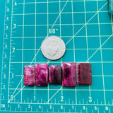 Medium Purple Bar Spiny Oyster, Set of 5 Dimensions