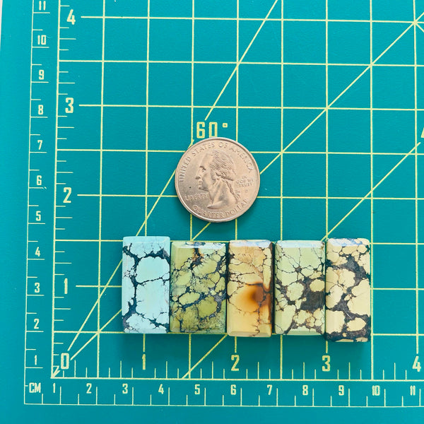Large Mixed Bar Mixed Turquoise, Set of 5 Dimensions