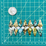 Medium Mixed Shield Mixed Turquoise, Set of 14 Dimensions