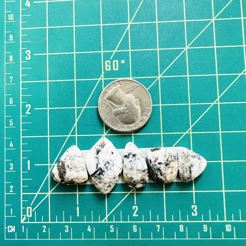 Small White Mixed White Buffalo Dolomite, Set of 5 Dimensions