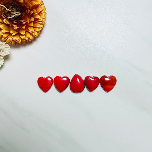 Small Red Mixed Rosarita, Set of 5 Background