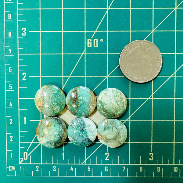 Medium Mint Green Round Crescent Lake Variscite, Set of 6 Dimensions
