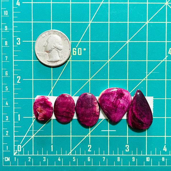 Medium Purple Mixed Spiny Oyster, Set of 5 Dimensions
