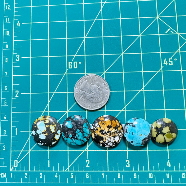 Medium Mixed Round Mixed Turquoise, Set of 5 Dimensions