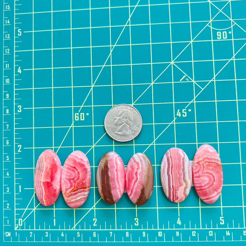 Turquoise Rhodnckeite Large Pink Oval Rhodochrosite, Set of 6 - Turquoise Moose