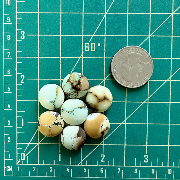 Small Mixed Round Treasure Mountain Turquoise, Set of 7 Dimensions