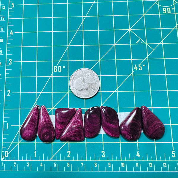 Medium Purple Mixed Spiny Oyster, Set of 8 Dimensions