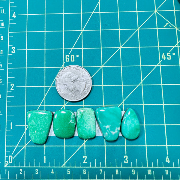 Medium Mint Green Mixed Lucid Variscite, Set of 5 Dimensions