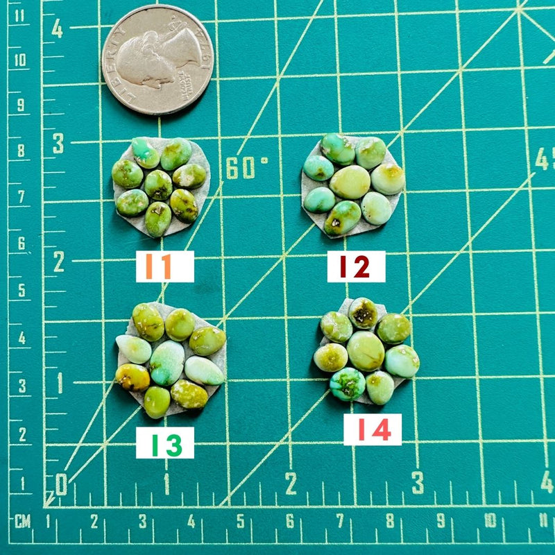 1. Small Mixed Sonoran Lime, Set of 8 - 021124