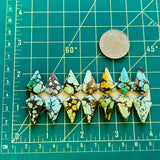 Small Mixed Shield Mixed Turquoise, Set of 14 Dimensions