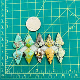 Medium Mixed Shield Mixed Turquoise, Set of 10 Dimensions