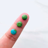 8x8mm Round Sonoran Gold Turquoise Cabochons, Set of 2
