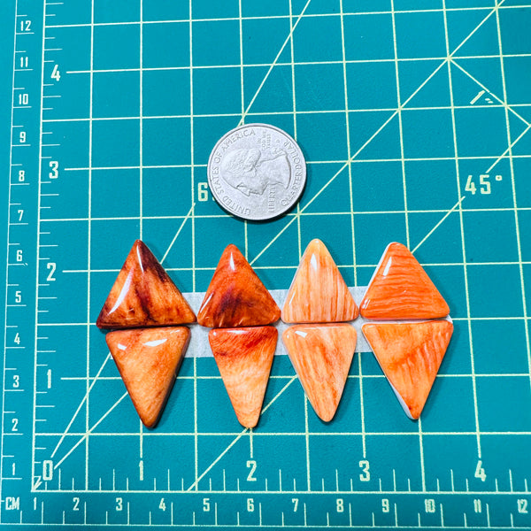 Large Royal Orange Triangle Spiny Oyster, Set of 8 Dimensions