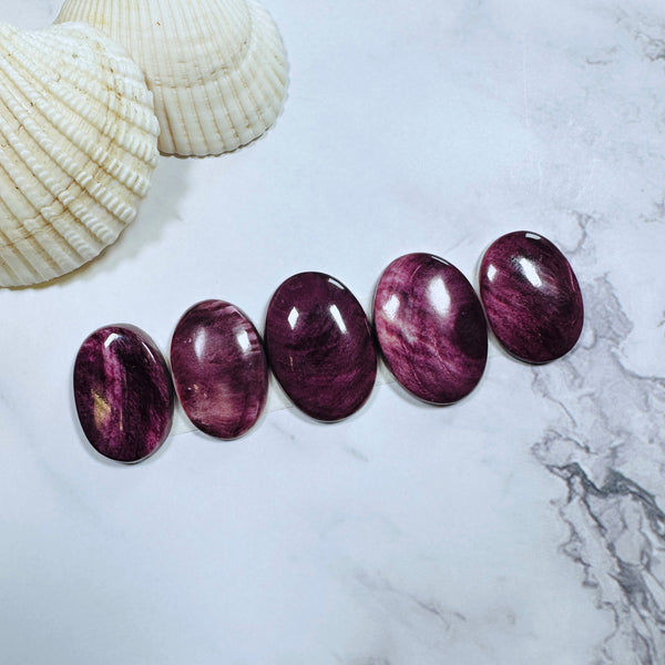 Large Purple Oval Spiny Oyster, Set of 5 Dimensions