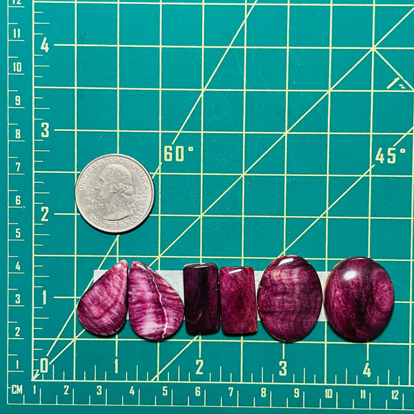 Medium Purple Mixed Spiny Oyster, Set of 6 Dimensions