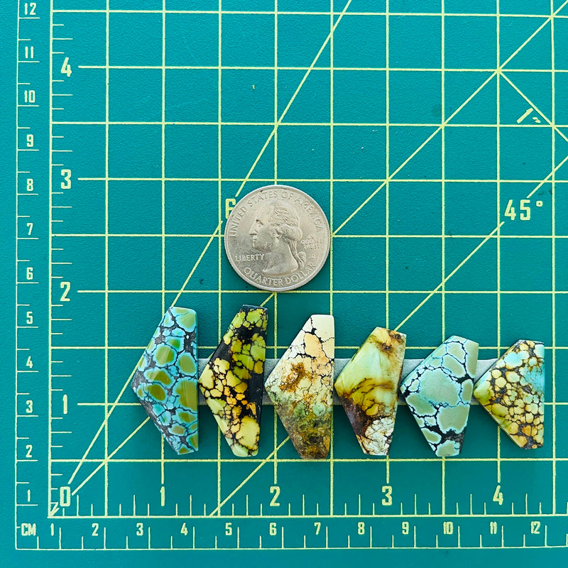 Large Mixed Freeform Mixed Turquoise, Set of 6 Dimensions
